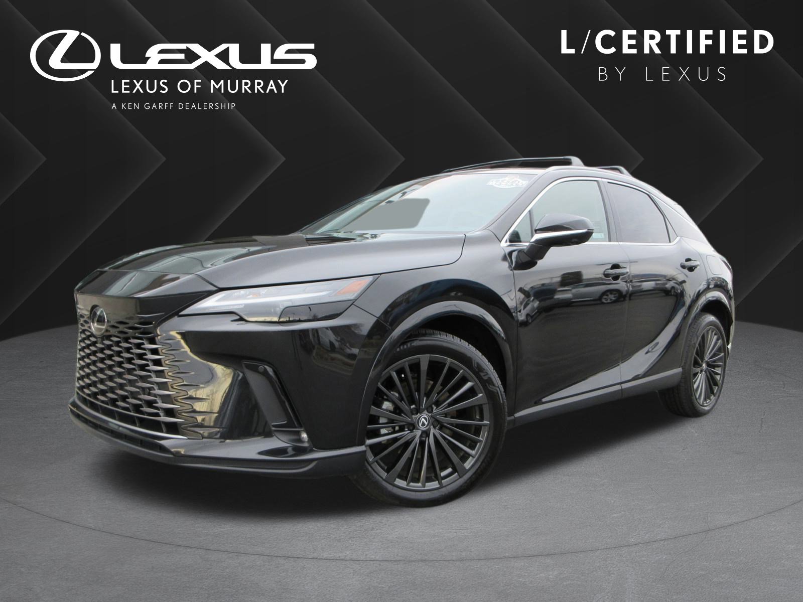 2025 Lexus RX Hybrid 350h's photo
