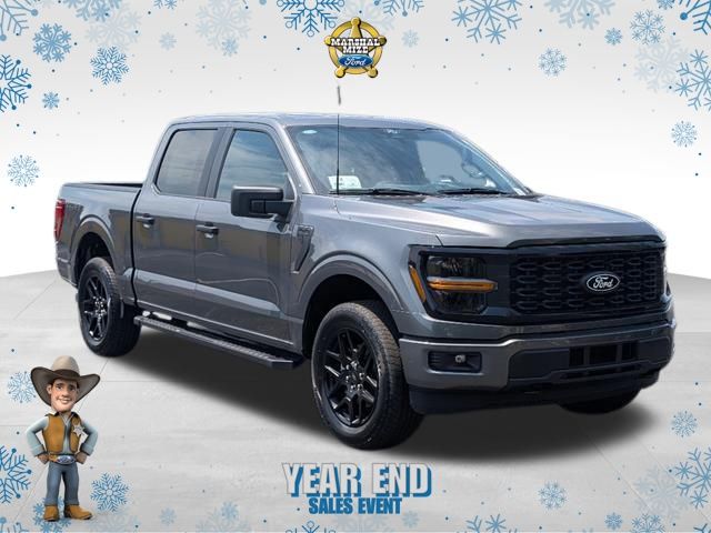 2025 Ford F-150 STX's photo