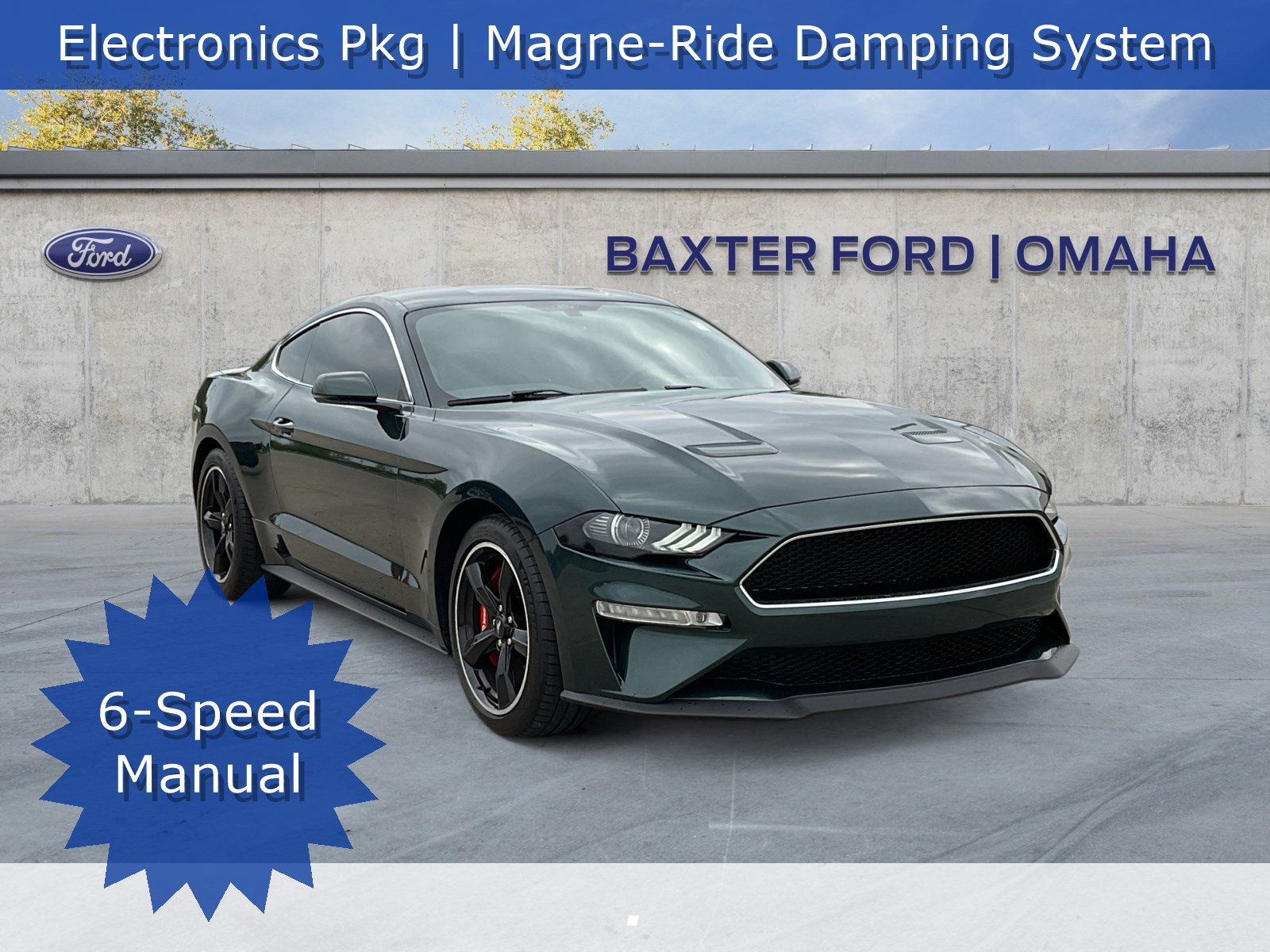 2019 Ford Mustang