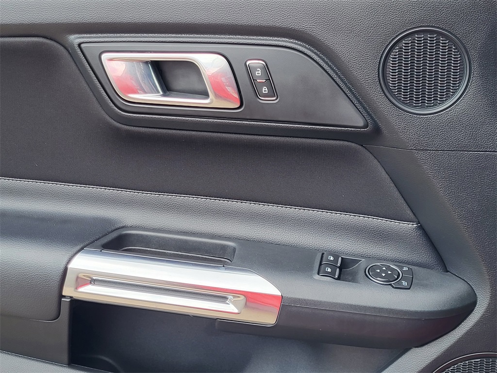 2021 Ford Mustang Mach 1 photo 10
