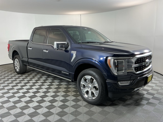 2022 Ford F-150 Platinum photo 3