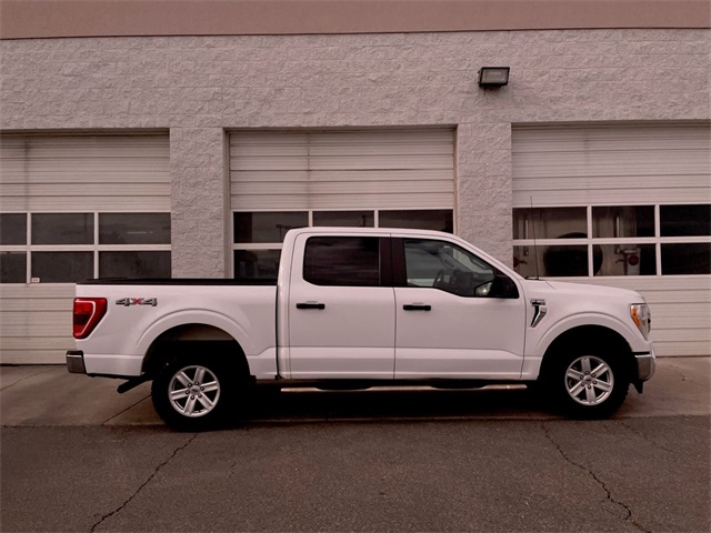 2021 Ford F-150 XLT's photo