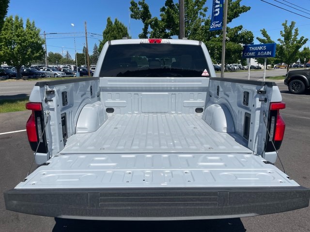 2025 Ford F-150 Lightning photo 12