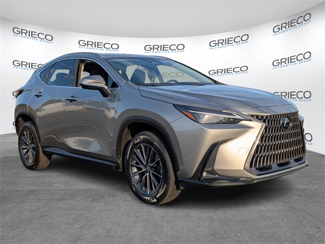 2022 Lexus NX 250's photo