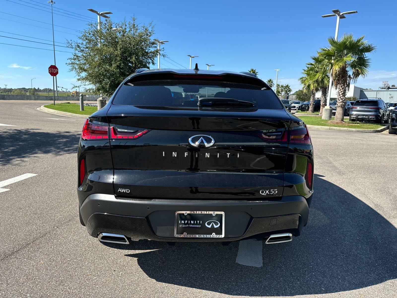 2025 Infiniti QX55 Luxe photo 5