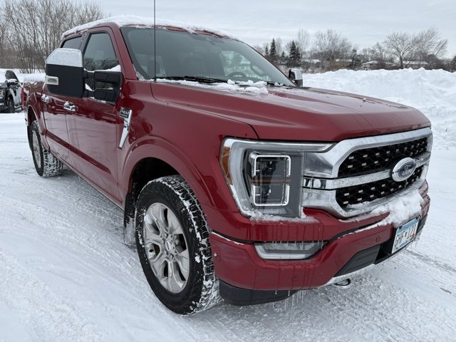 2021 Ford F-150 Platinum's photo