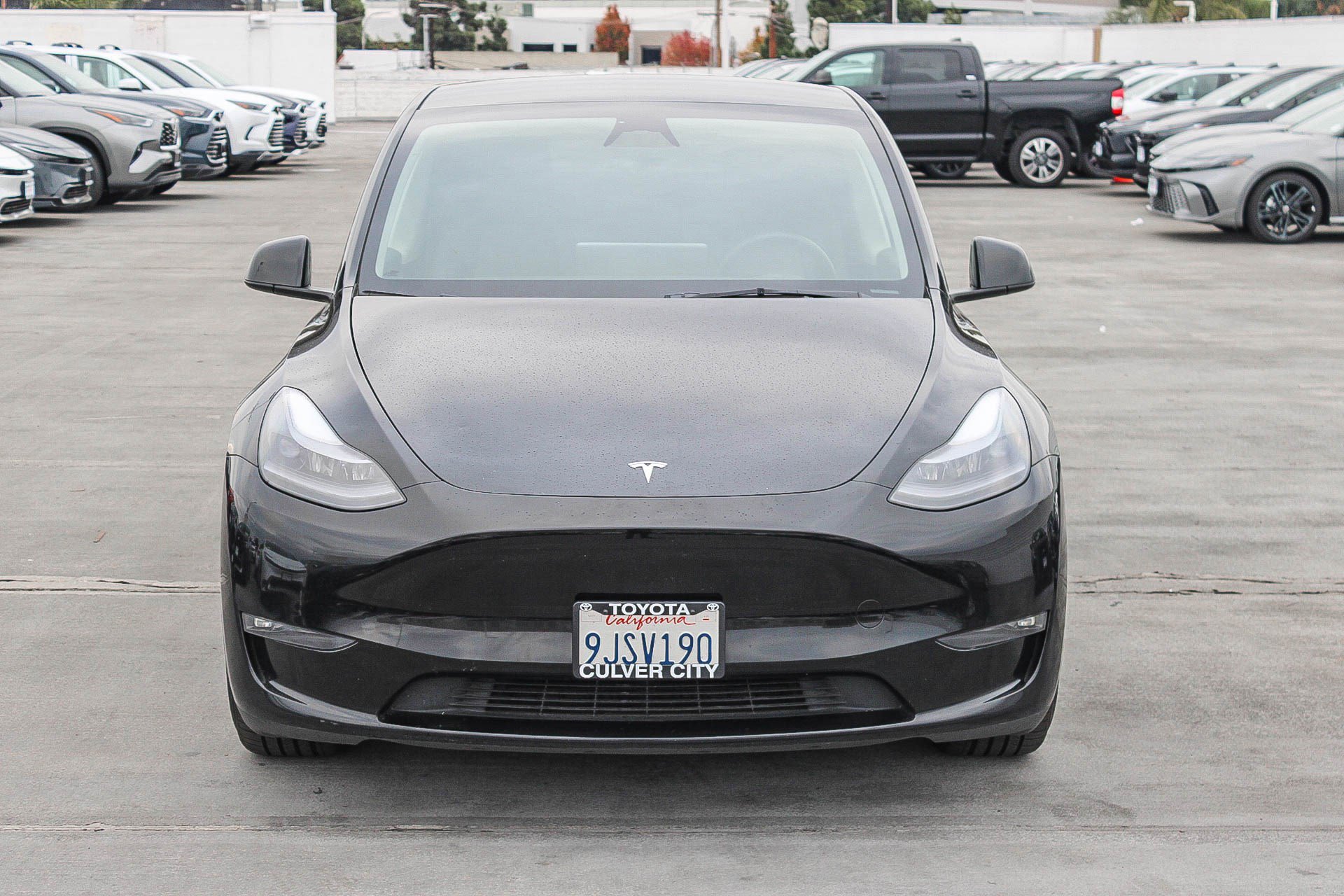 Used 2023 Tesla Model Y Performance with VIN 7SAYGDEF1PF911536 for sale in Kansas City