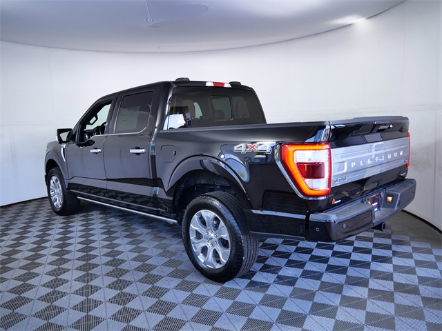 2023 Ford F-150 Platinum photo 5