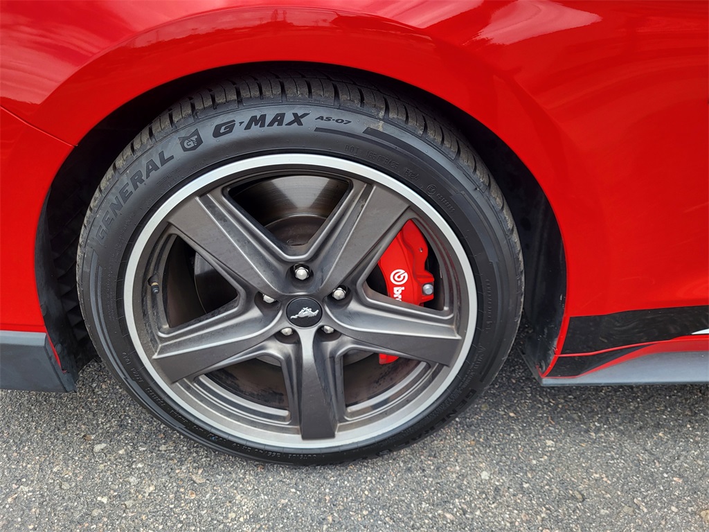 2021 Ford Mustang Mach 1 photo 18
