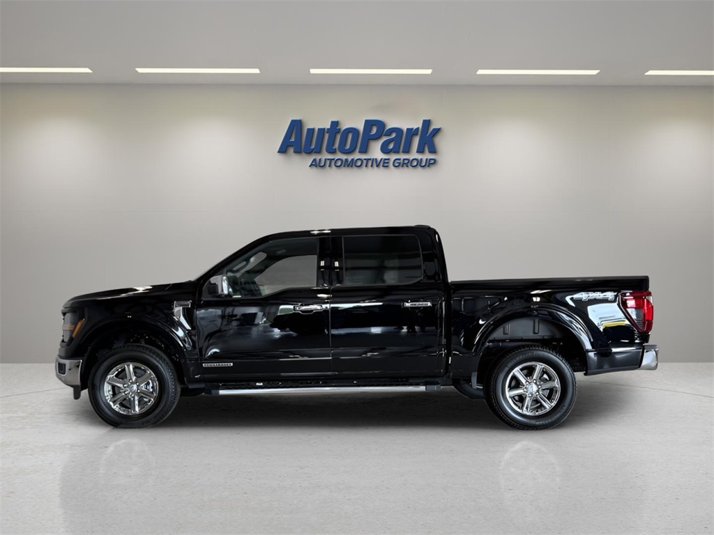 2025 Ford F-150 XLT photo 2