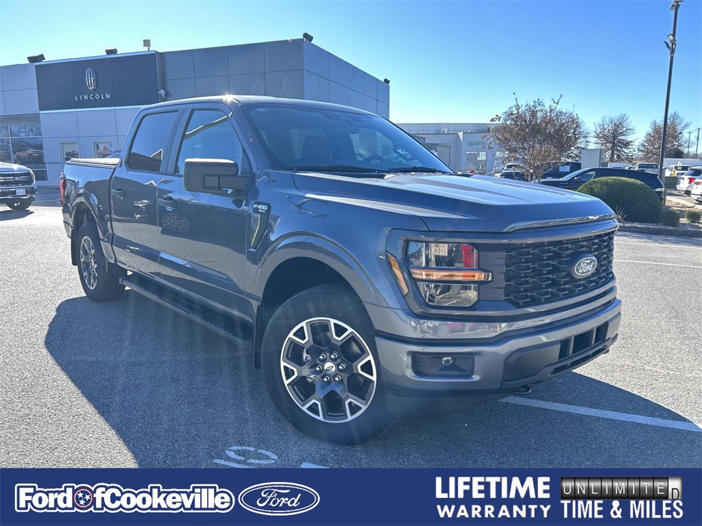 2025 Ford F-150 STX's photo