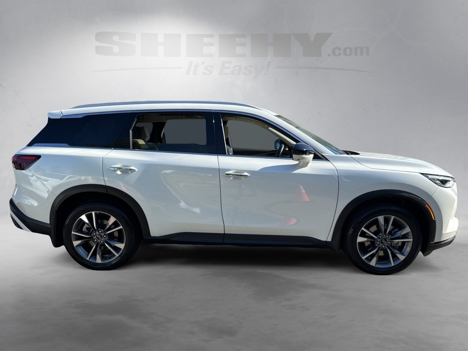 2025 Infiniti QX60 Luxe photo 10