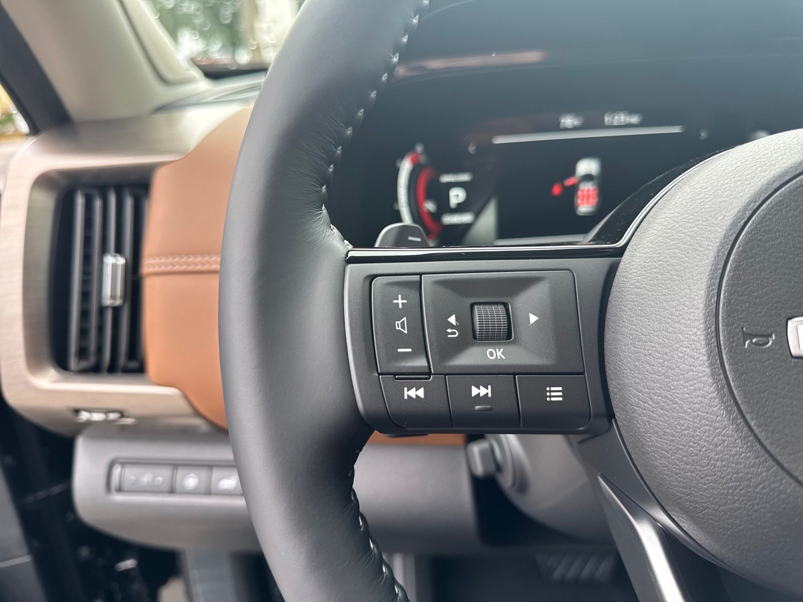 2025 Nissan Pathfinder Platinum photo 16