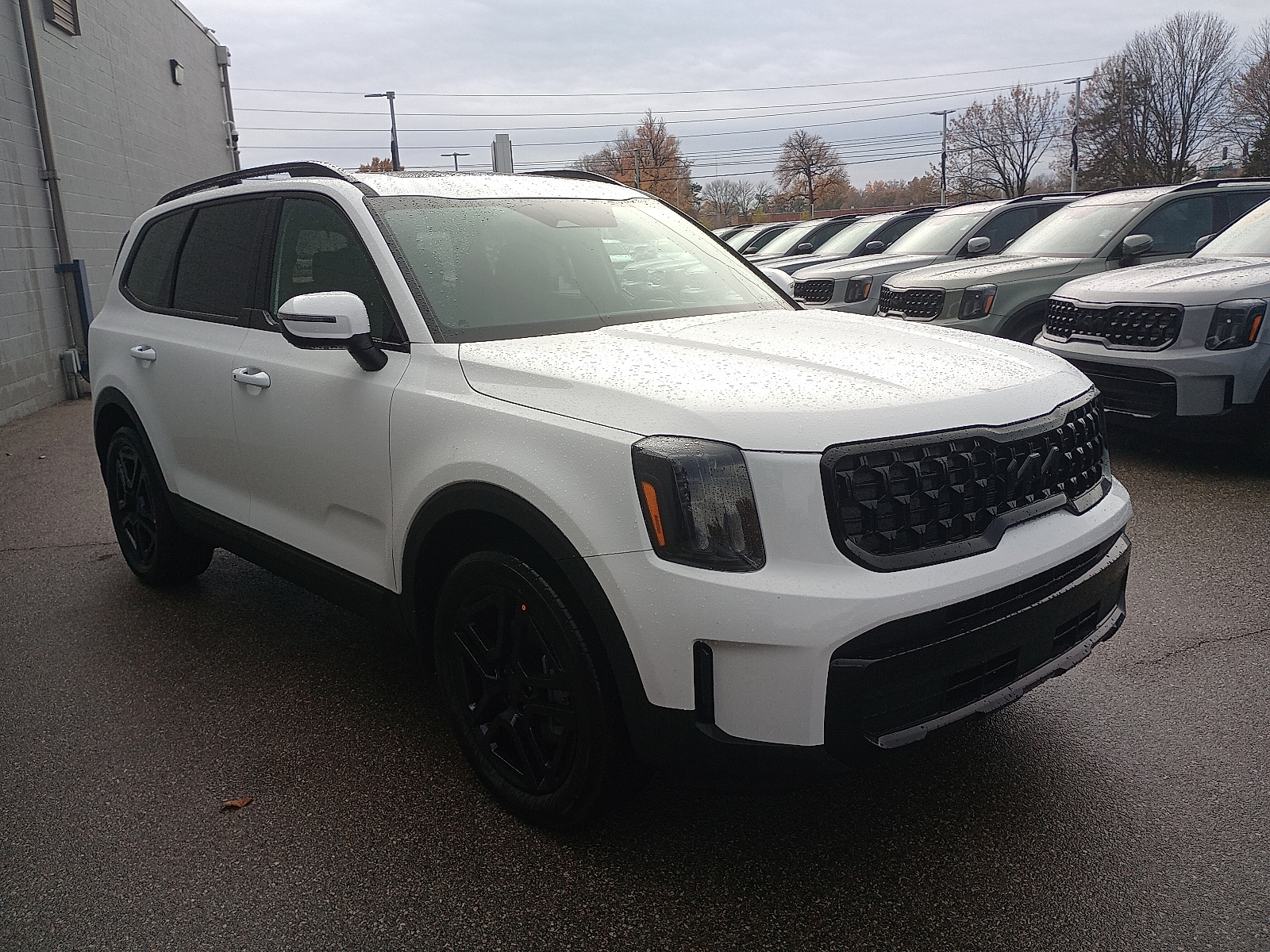 2025 Kia Telluride EX X-Line's photo