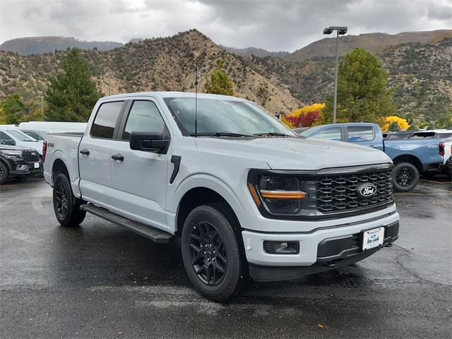 2025 Ford F-150 STX's photo