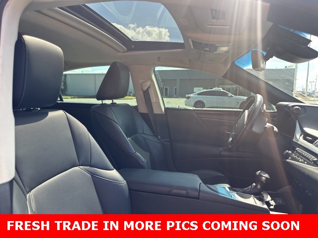 2019 Lexus ES 350 Ultra Luxury photo 10