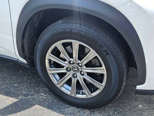 2019 Lexus NX 300 Luxury photo 3