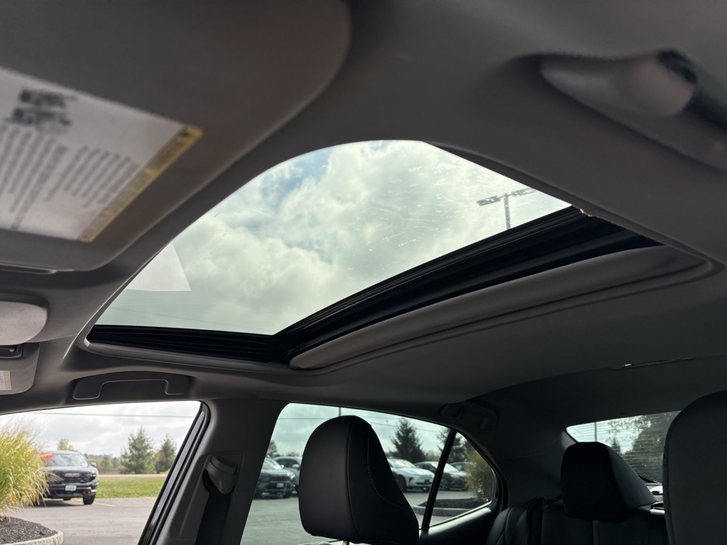 2023 Toyota Camry SE photo 2