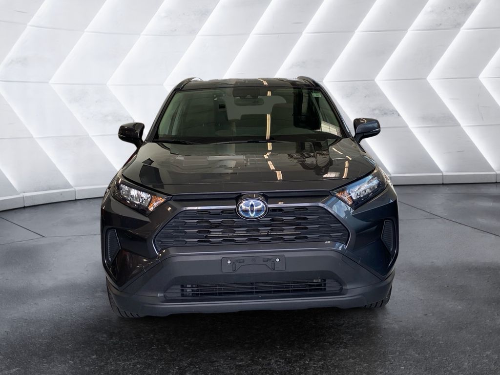 2019 Toyota RAV4 Hybrid LE photo 2