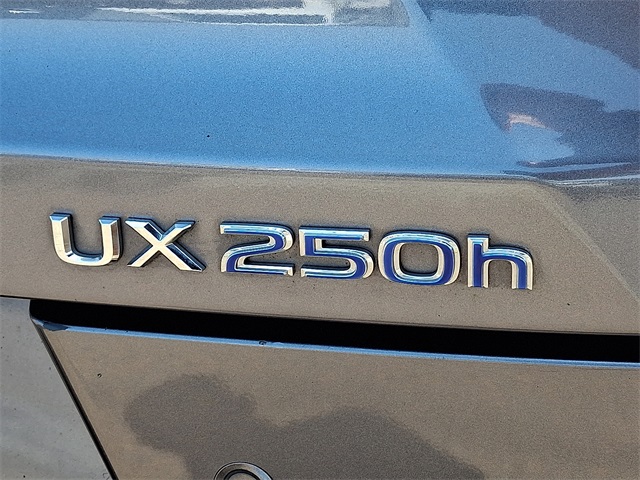 2019 Lexus UX 250h photo 28
