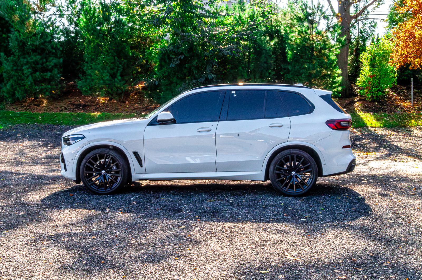 2021 Bmw X5 sDrive40i photo 4