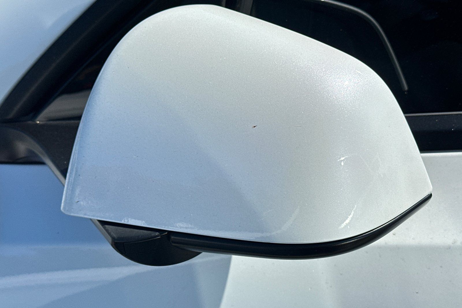 2021 Tesla Model Y Long Range photo 12