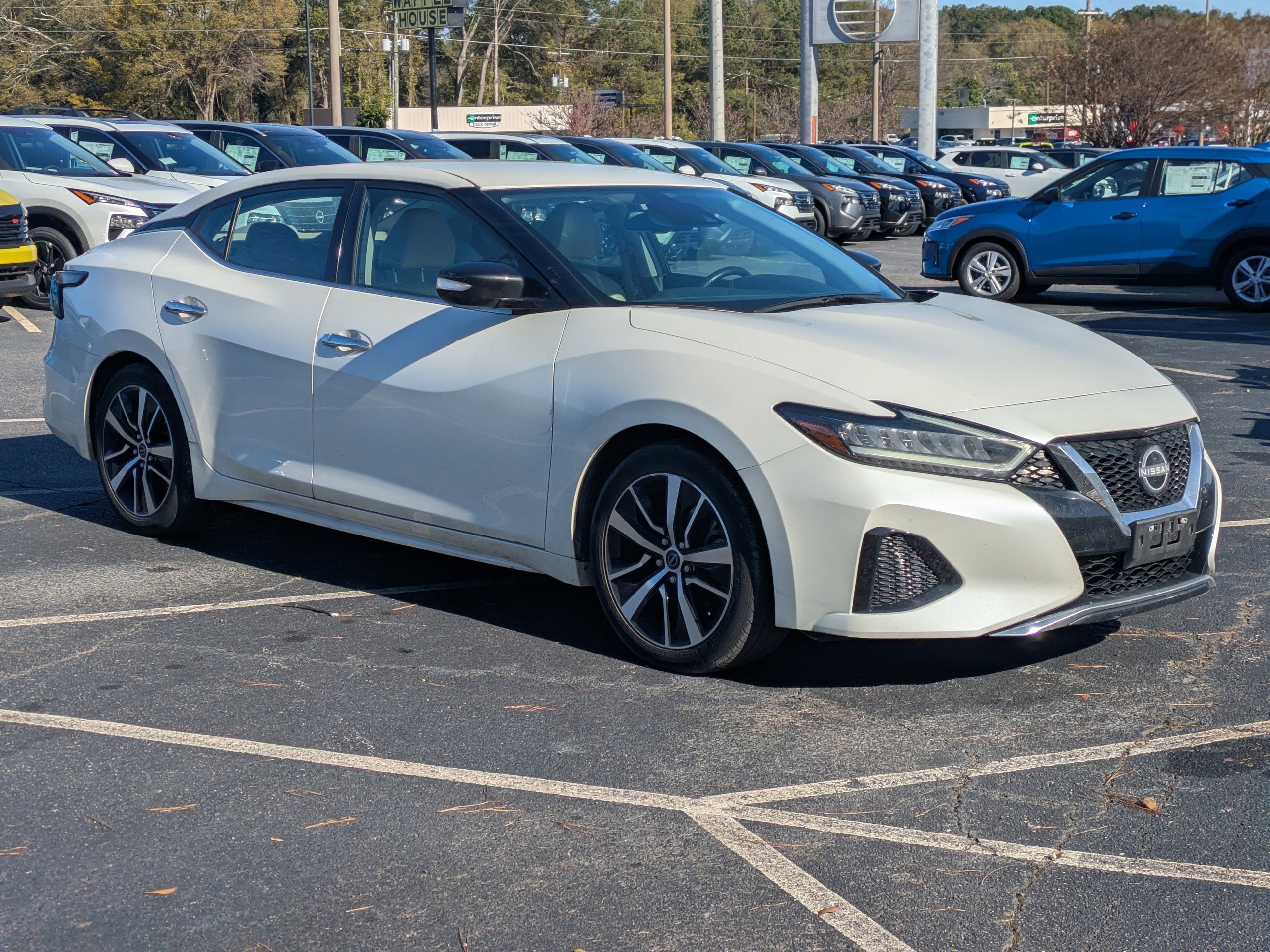 2023 Nissan Maxima SV's photo