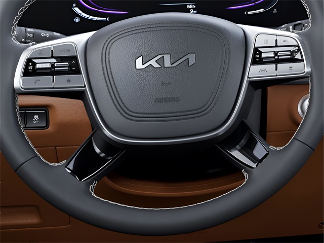 2025 Kia Telluride EX X-Line photo 11