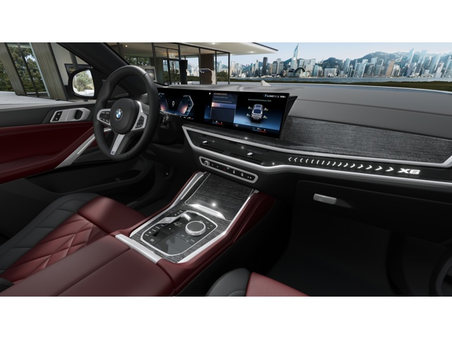 2026 Bmw X6 xDrive40i photo 12