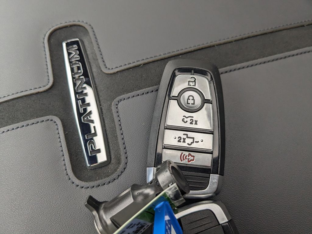 2025 Ford F-150 Lightning Platinum photo 33