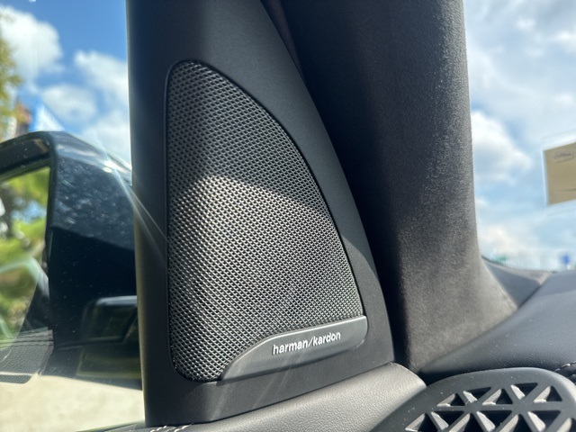 2025 Bmw X7 xDrive40i photo 18