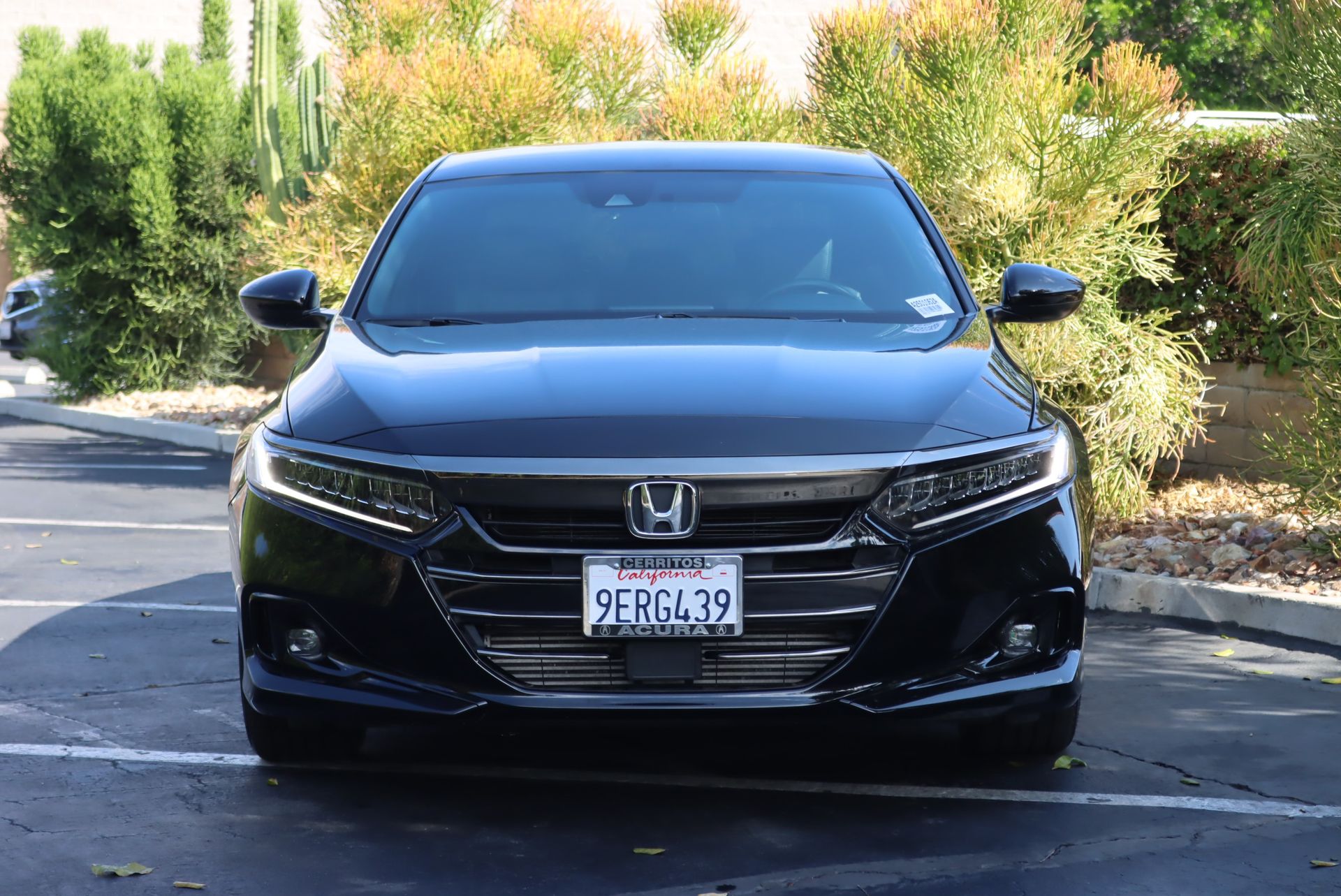 2022 Honda Accord Sport photo 3