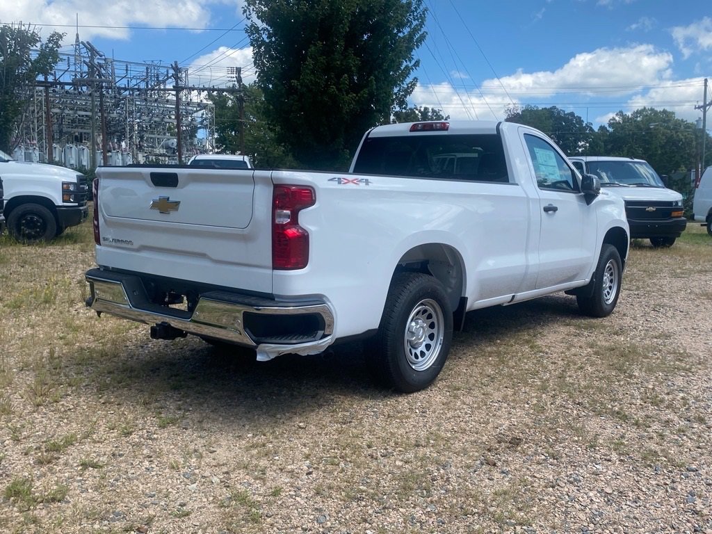 2025 Chevrolet Silverado 1500 photo 21