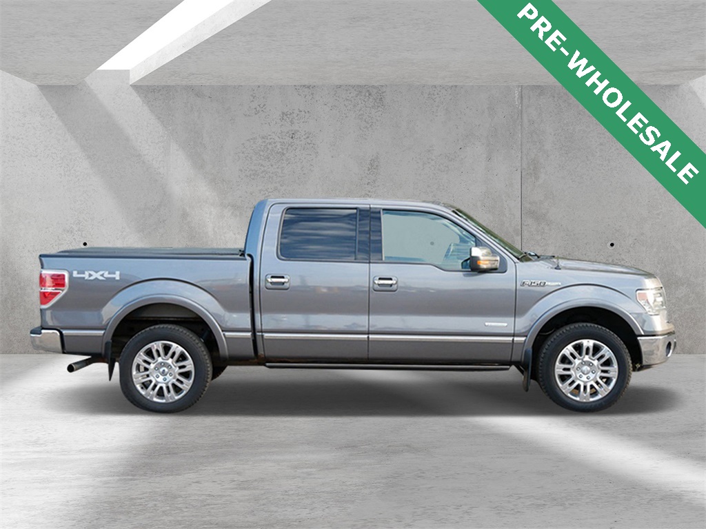 2013 Ford F-150 Platinum photo 2