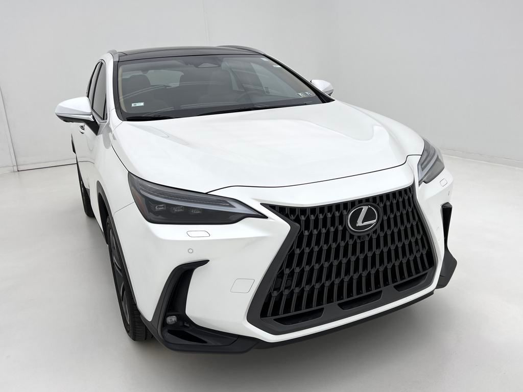 2025 Lexus NX 450h+ Luxury photo 3