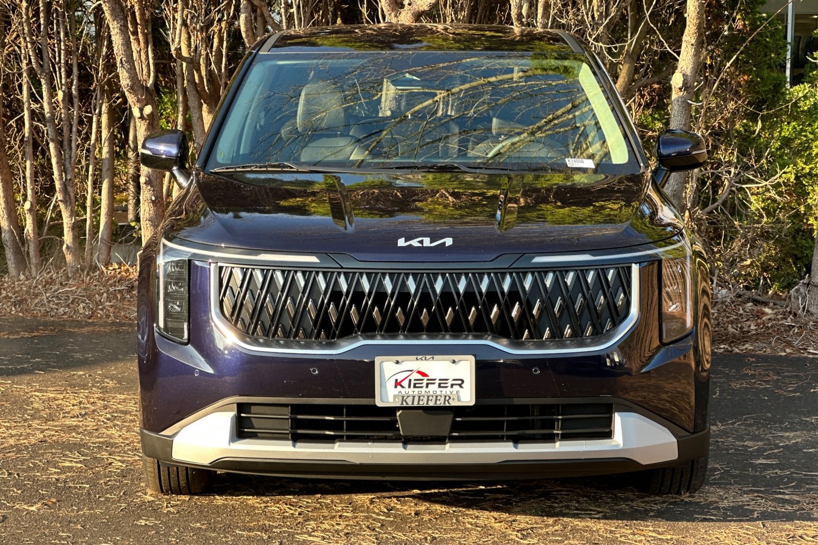 2026 Kia Carnival LXS photo 4