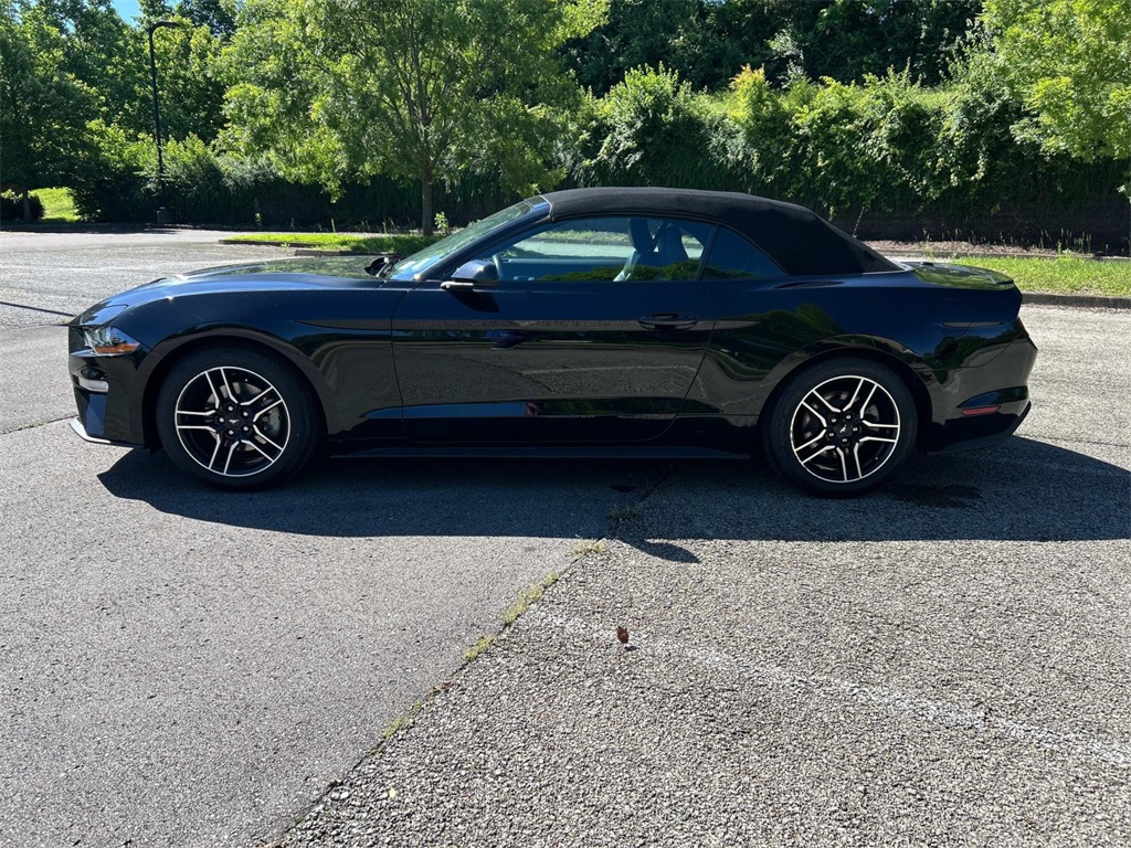 2022 Ford Mustang EcoBoost Premium Convertible photo 4