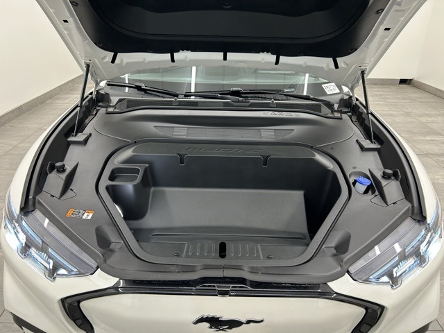 2025 Ford Mustang Mach-E Premium photo 3