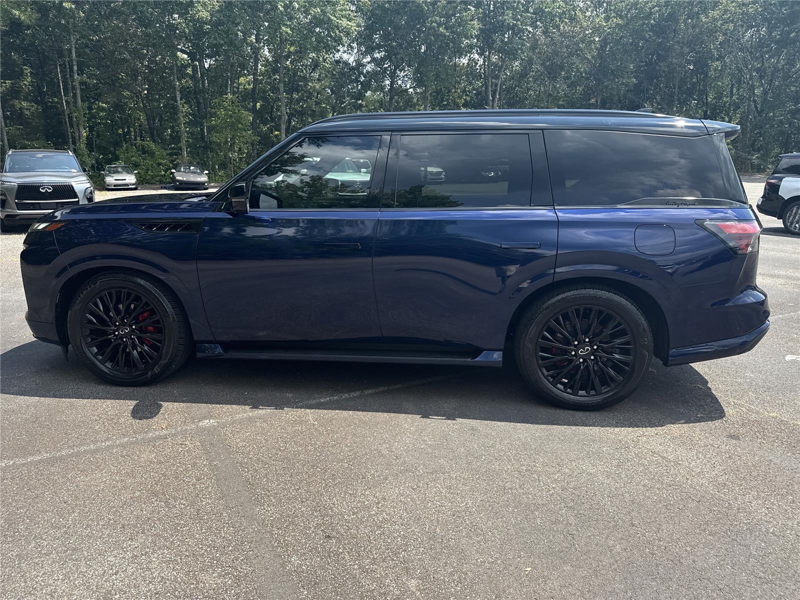2025 Infiniti QX80 photo 27