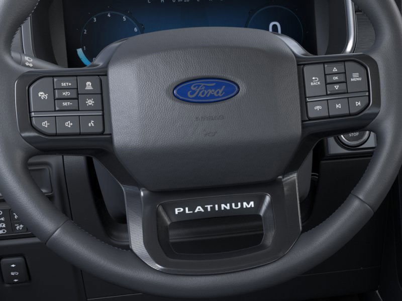 2025 Ford F-150 Platinum photo 10
