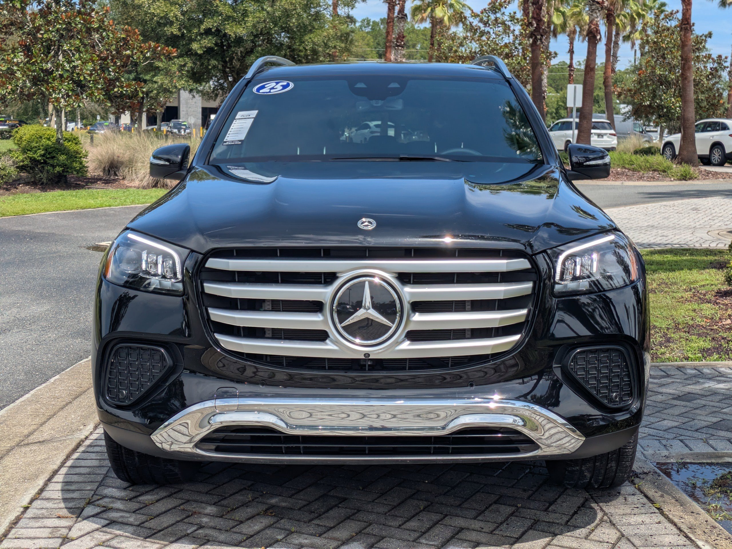 2025 Mercedes Benz GLS 450 4MATIC photo 10