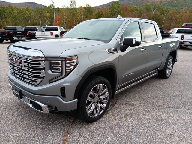 2025 Gmc Sierra 1500 Denali photo 3
