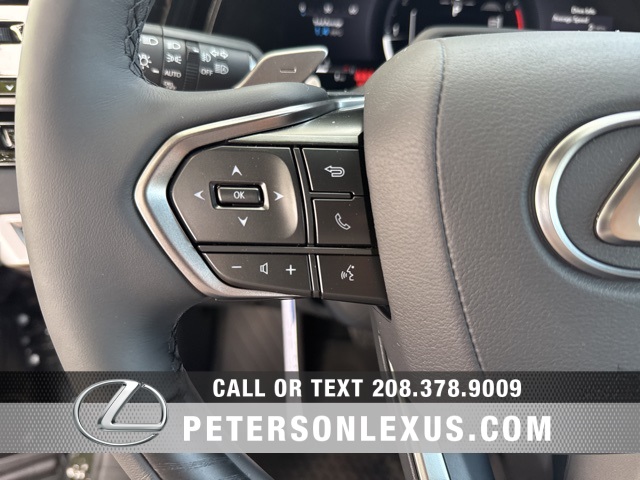 2025 Lexus RX 350 Premium photo 23