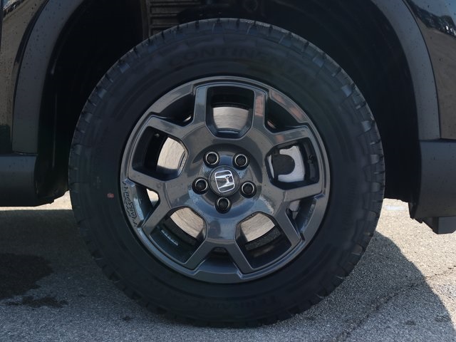 2025 Honda Pilot TrailSport photo 5