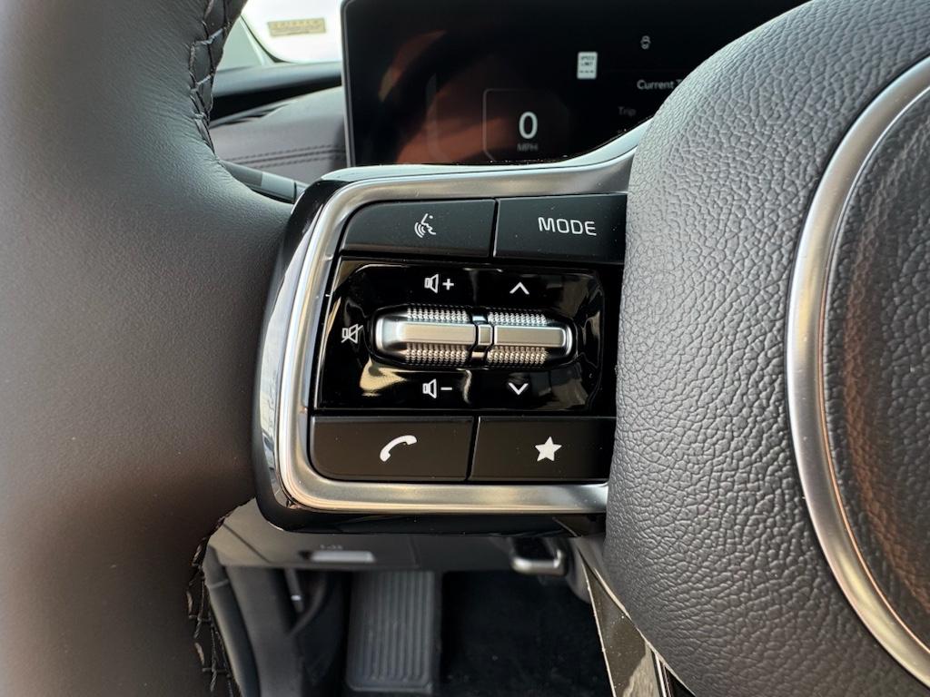 2025 Kia Carnival SX Prestige photo 11