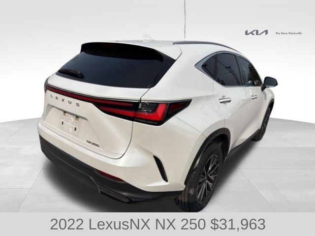 2022 Lexus NX 250 photo 7