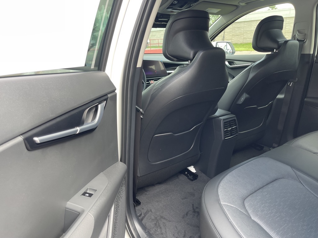 2024 Kia Niro EV Wave photo 20