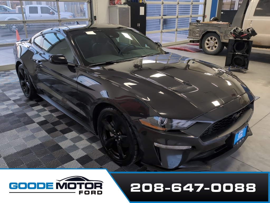 2022 Ford Mustang Base's photo