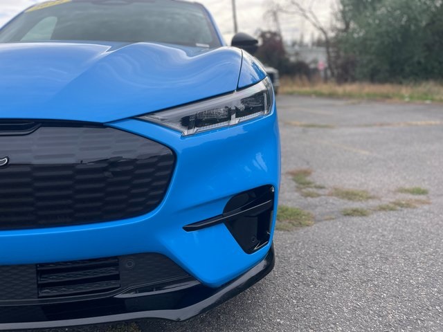 2022 Ford Mustang Mach-E GT photo 7