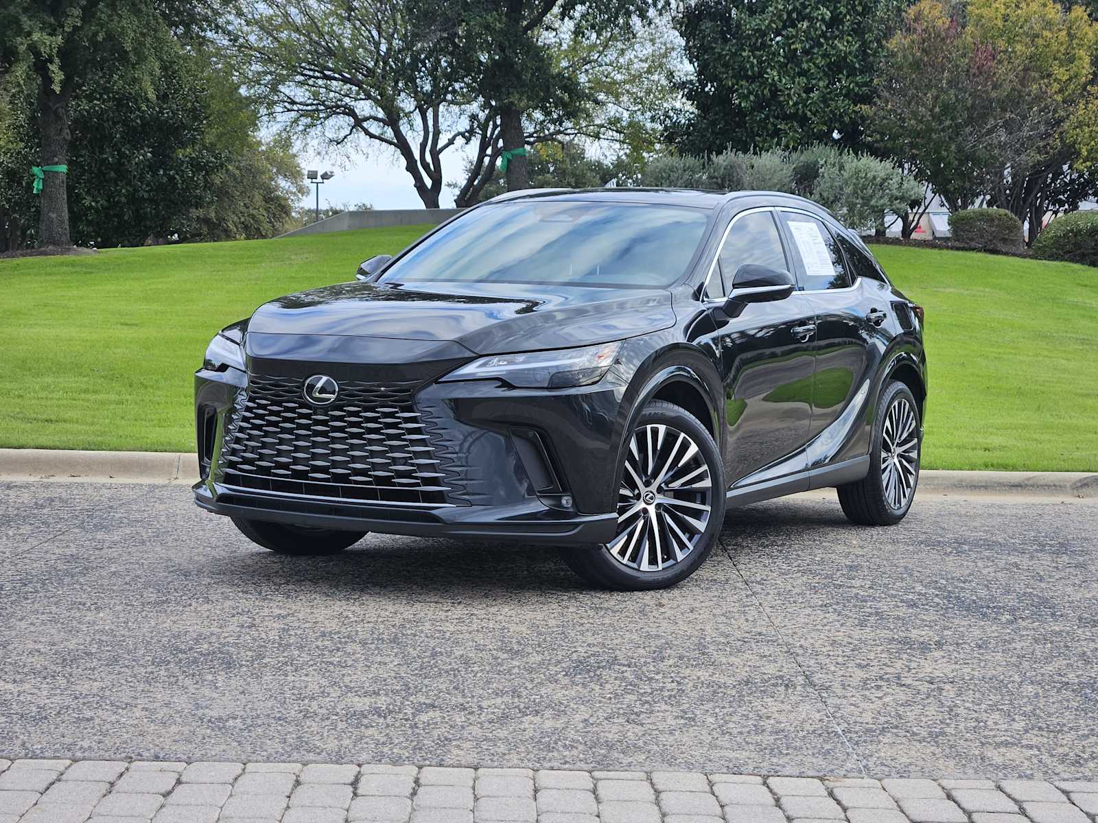 2024 Lexus RX 350's photo